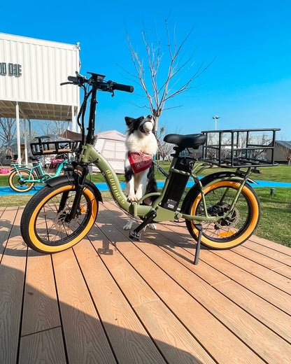 Revibikes Rebel 2 Folding Electric Bike