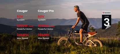 Revibikes Cougar Electric Bike