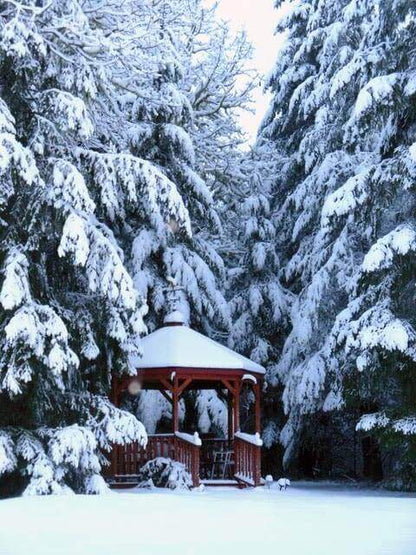 The Wooden Gazebo