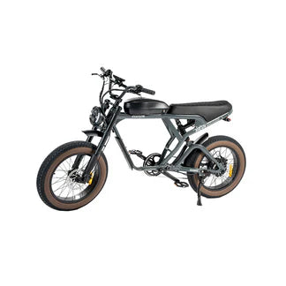 Revibikes Cougar Electric Bike