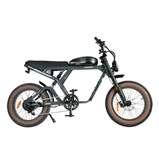 Revibikes Cougar Electric Bike