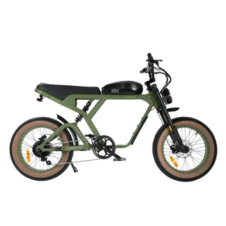 Revibikes Cougar Electric Bike