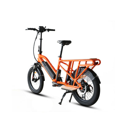 EUNORAU G30-CARGO 2.0 BIKE