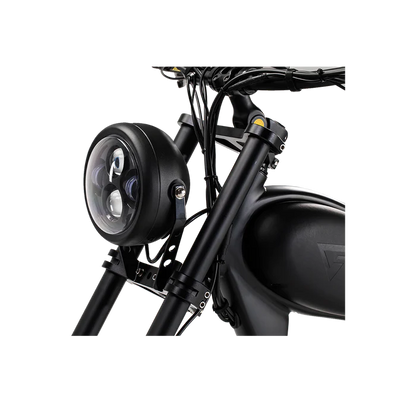 Revibikes Cheetah (2 Options)