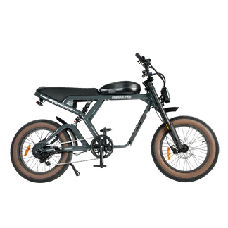 Revibikes Cougar Electric Bike