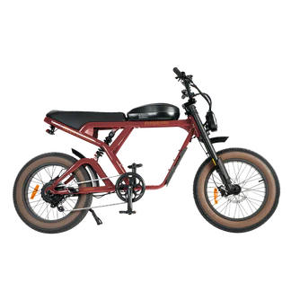 Revibikes Cougar Electric Bike