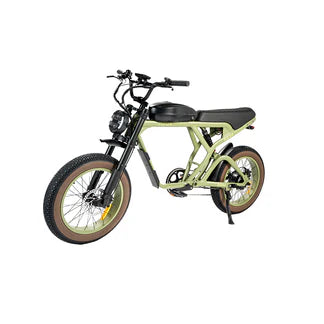 Revibikes Cougar Electric Bike