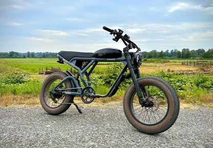 Revibikes Cougar Electric Bike
