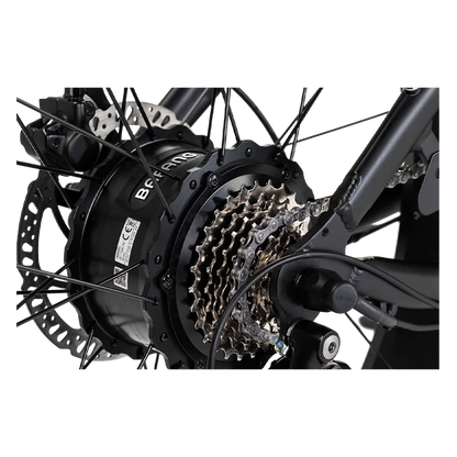 Revibikes Cheetah (2 Options)