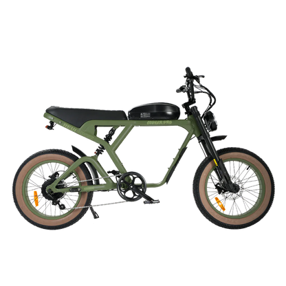Revibikes Cougar Electric Bike