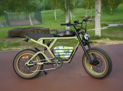 Revibikes Cougar Electric Bike