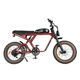 Revibikes Cougar Electric Bike