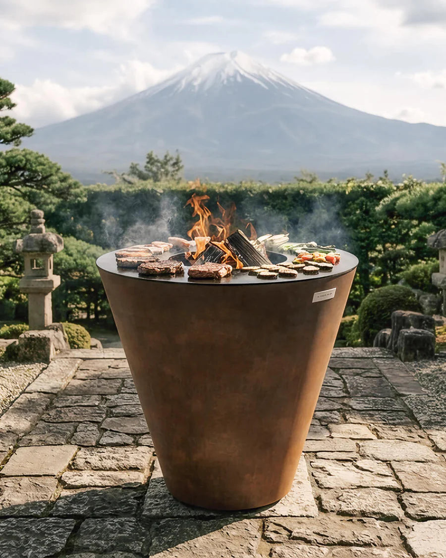 Top Charcoal Grill & Fire Bowl